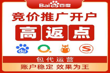 SEM搜索引擎优化实战案例：从失败到成功的优化历程