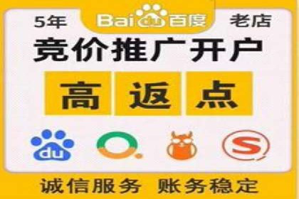 案例教学：SEM竞价助力电商营销